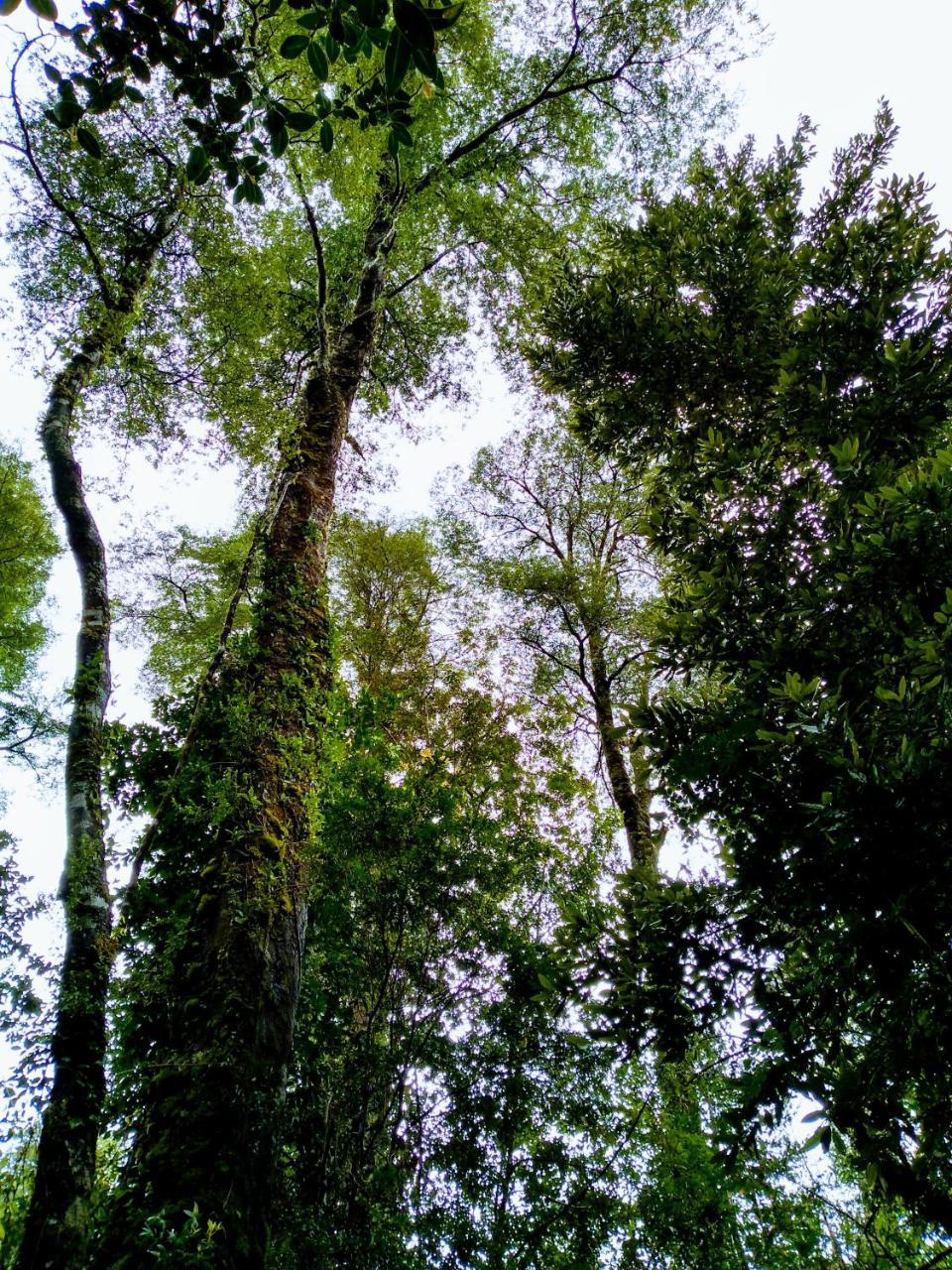 Refugio Del Alma Lodge *