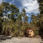 Refugio Del Alma