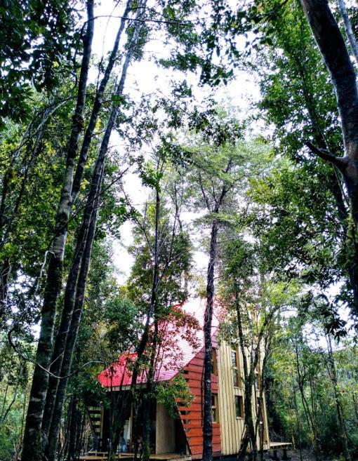Refugio Del Alma Alojamento Cochamo